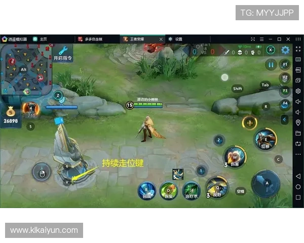 全面解析pgpg8.5模拟器的功能与应用